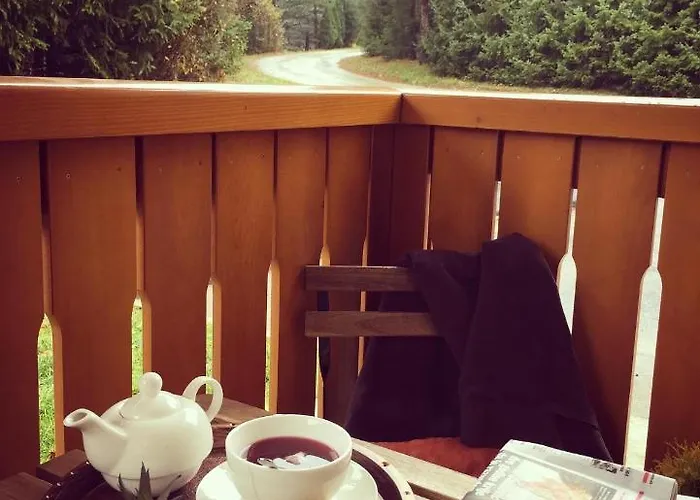 Апартаменты Stevanic Златибор