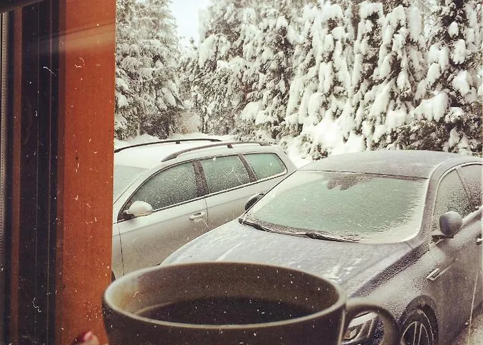 Stevanic Златибор