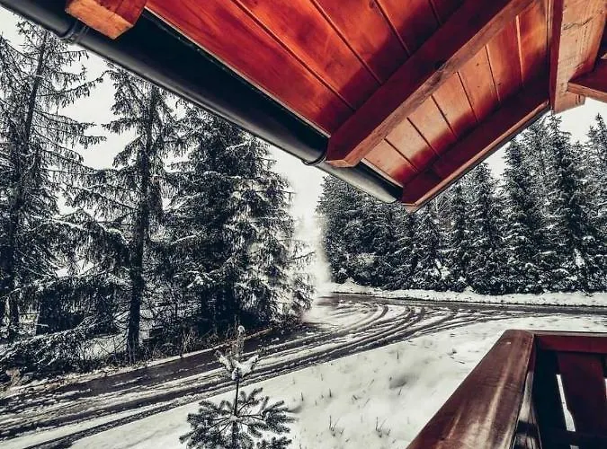 Stevanic Апартаменты Златибор